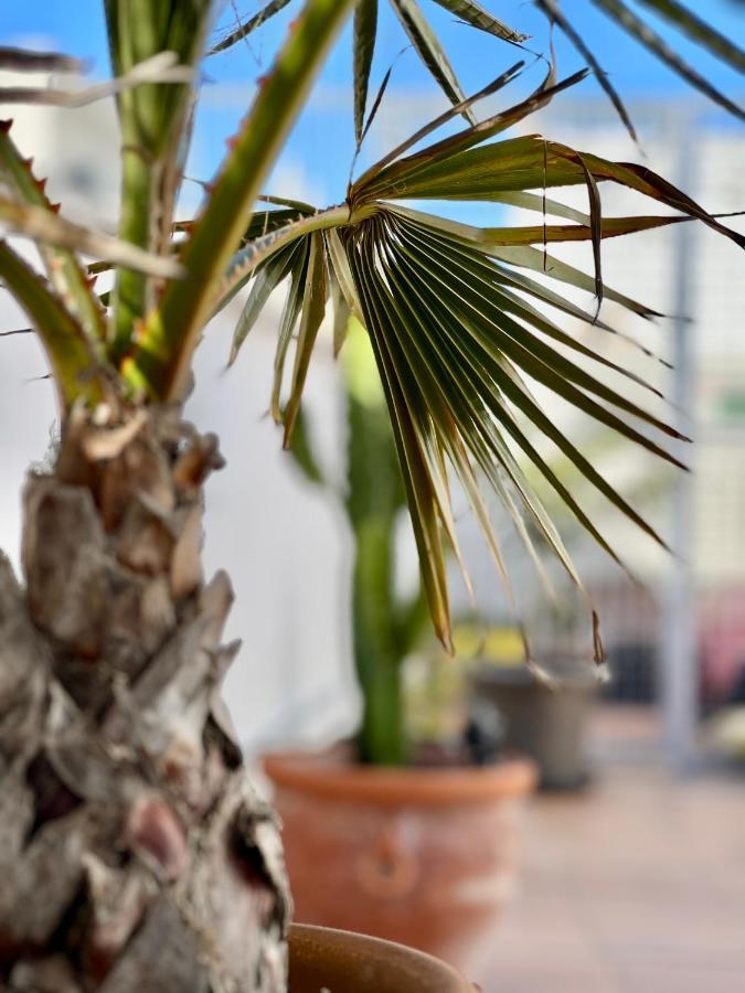 Appartamento La Terraza De Porvenir 10 - Jerez De La Frontera Esterno foto